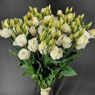 Bukiet Mróz i słońce (11 szt)