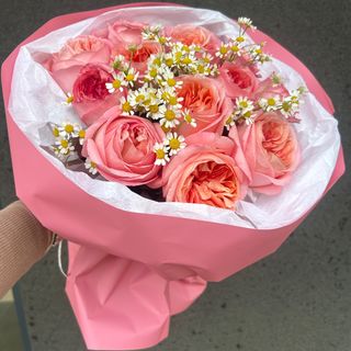 Pink expression (11 szt) 50 cm