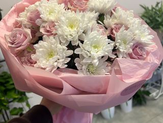 Elegancja w Doskonałej Cenie