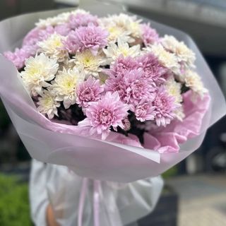 Pudrowa Delikatność (7 sztuk)