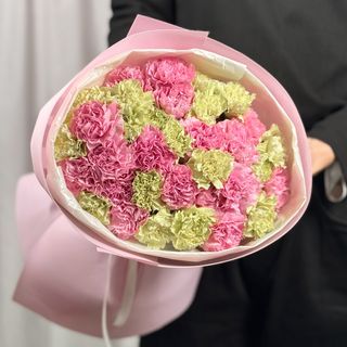 Dianthus mix Green vs Lilac