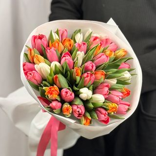 Tulip mix Tresor vs White vs Orange