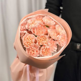 Dianthus Peach 19 szt