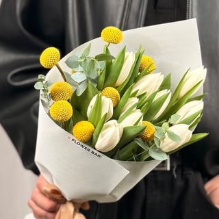 Tulip White vs Craspedia vs Eucaliptus