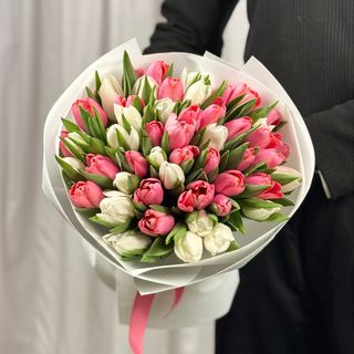Tulip mix Tresor vs White