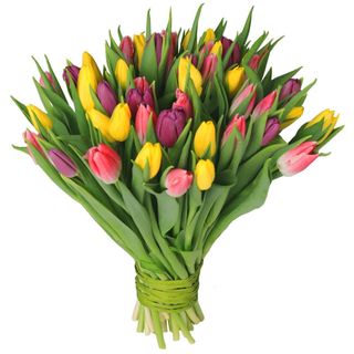 Bukiet mix kolorów tulipan M