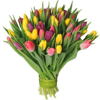 Bukiet mix kolorów tulipan S