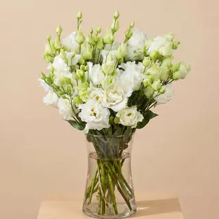 Bukiet Biała Eustoma