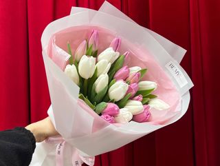 Bukiet z 25 szt biało-różowych tulipanów «OPALINE»