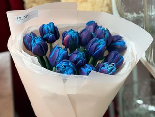 Bukiet z 15 niebieskich VIP tulipanów «VIP INTENSE»