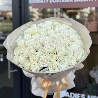 Bukiet z białych piwoniowych róż «51 WHITE ROSES»