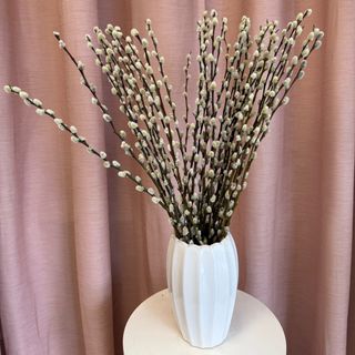 Bazie naturalne 15 szt