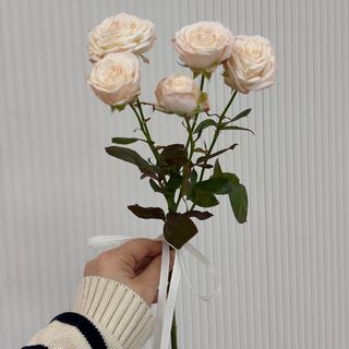 Gałązkowa róża Bombastic 1 szt