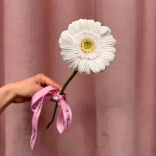 Gerbera - 1 sztuka