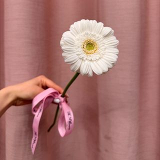 Gerbera - 1 sztuka