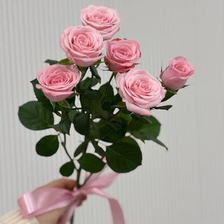 Gałązkowa róża w różowym kolorze 1 szt