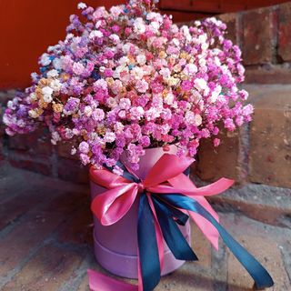 Box z gipsówki L  Rainbow Box