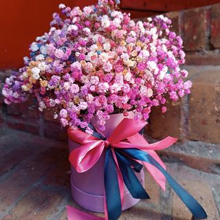 Box z gipsówki S Rainbow Box