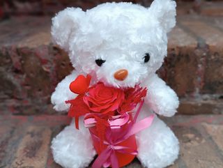 Miś walentynkowy z różą mydlaną w pudełku