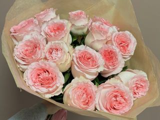 15 róż różowo-białych