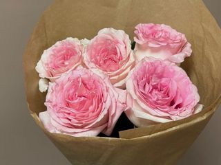 5 róż różowo-białych