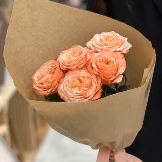 5 herbacianych róż piwonowych