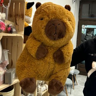 Duża pluszowa kapibara