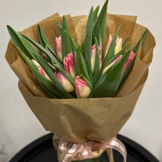 15 różowych tulipanów