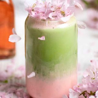 matcha sakura