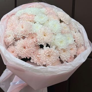 Pudrowa Delikatność (7 szt)