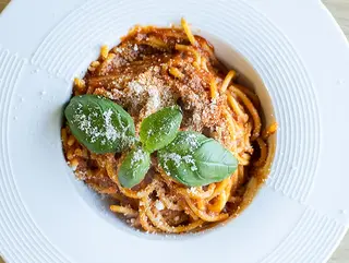 Bolognese