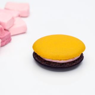 Makaronik francuski - guma balonowa