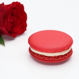 Makaronik francuski - róża