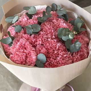 Bukiet Goździki + Eucaliptus