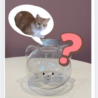 Dreamy’s Pick 0.5L