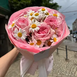 Mix stokrotki z Różą Pink O’Hara