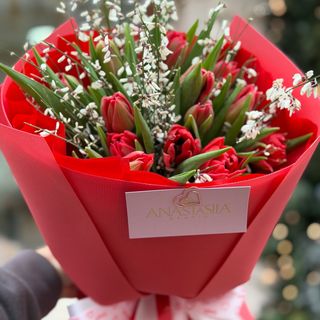 Mix kwiatów czerwony tulipan i genestra