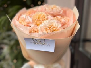 Róża gałązkowa piwoniowa 4 gal. Juljetta