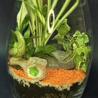 Florarium pomarańczowa bajka