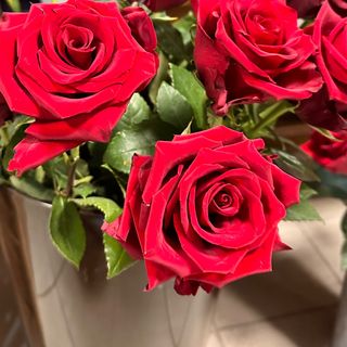 3 klasyczne czerwone róże udekorowanych