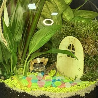 Florarium Bajkowy Świat 