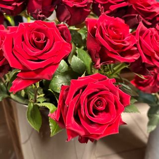 5 klasycznych czerwonych róż z przebraniem