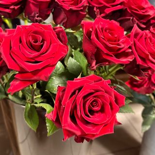 11 klasycznych czerwonych róż z przebraniem