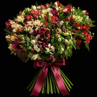 7 Alstromerii kolorowych