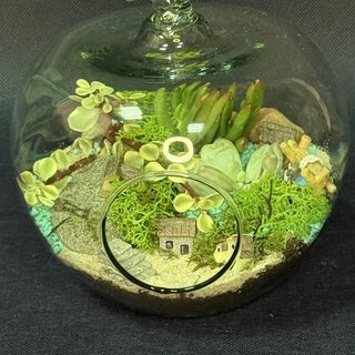 Florarium fantastyczny ogród 