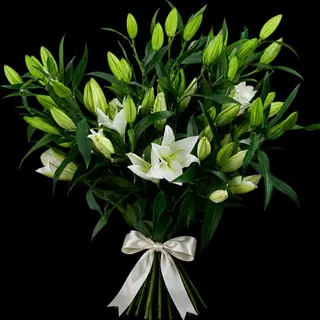 3 biali Lilii