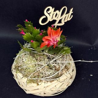 Grudnik w kompozycji