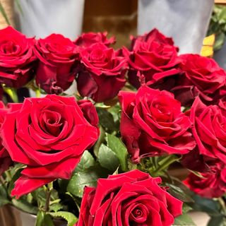13 klasycznych czerwonych róż z przebraniem