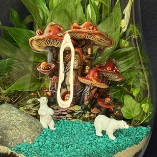 Florarium leśna bajka 