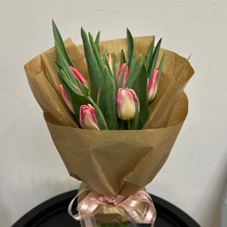 9 różowych tulipanów